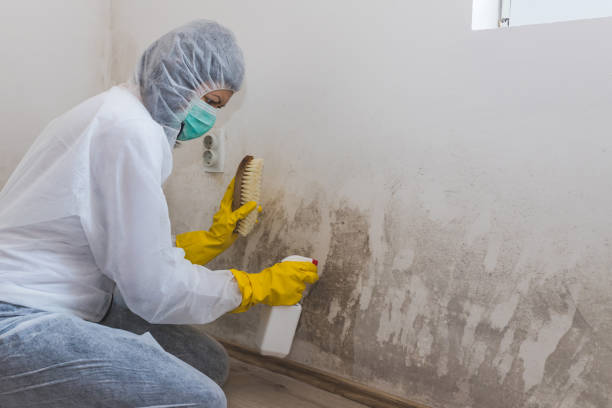 Best Airborne Mold Testing  in Gotha, FL