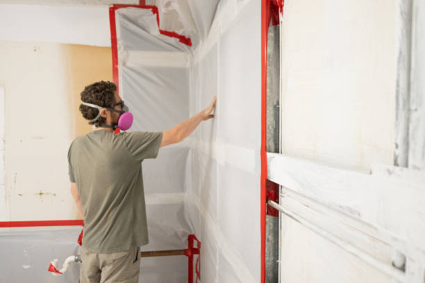 Best Emergency Mold Remediation  in Gotha, FL