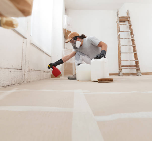 Best Emergency Mold Remediation  in Gotha, FL