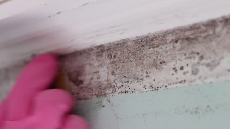 Best Residential Mold Inspection & Testing  in Gotha, FL